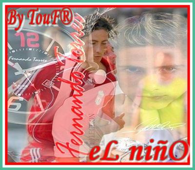 fernando torres