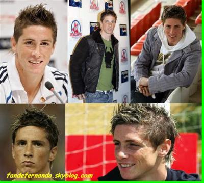 fernando torres